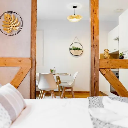 Apartment Au Petit Lion, Centre Garage Gratuit Colmar