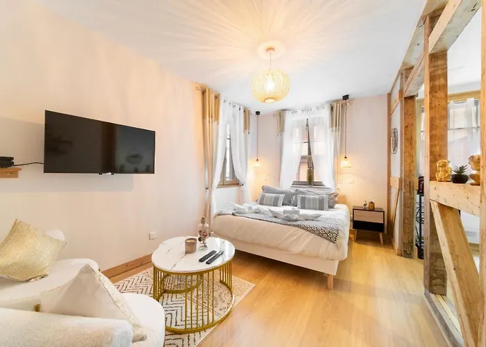 Apartmán Au Petit Lion, Centre Garage Gratuit *