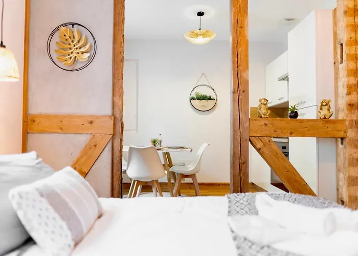 Apartmán Au Petit Lion, Centre Garage Gratuit Colmar